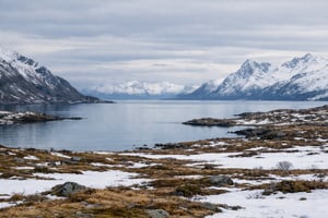 Pohjoismainen talvimaisema-1